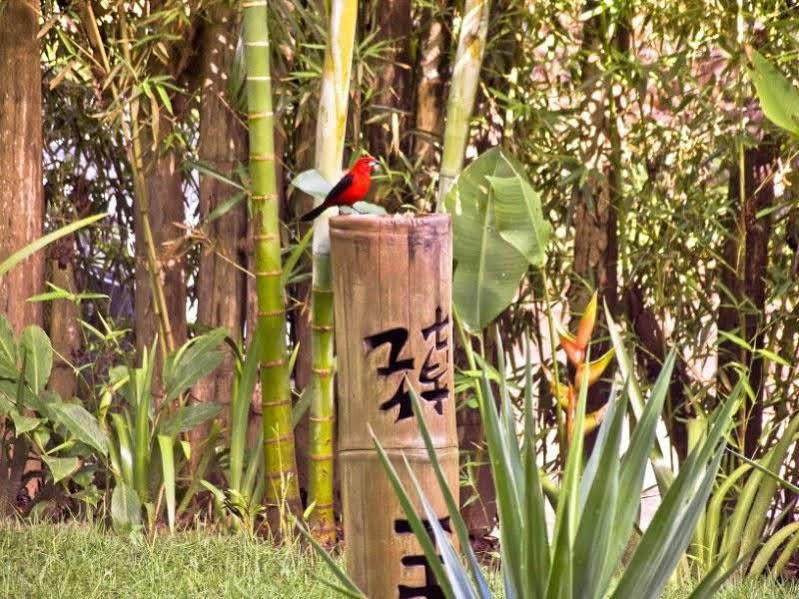 Pousada Bambu Ітакаре Екстер'єр фото